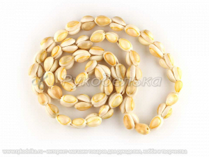 Ракушки 20х10мм. Нить 90см